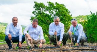 INTABACO inicia Cosecha Tabacalera con siembra de más de 160 mil tareas