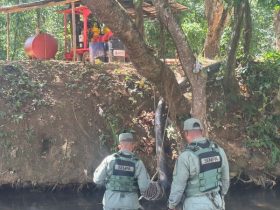 SENPA investiga la muerte de peces en ríos Matúa e Higüero