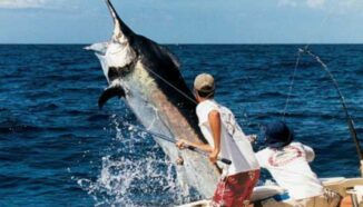 La ciudad destino celebrará Cap Cana Classic de pesca deportiva