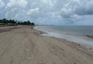 Disminuye llegada de sargazo a playas del este de RD