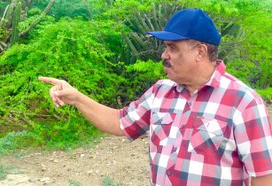 PLD resta credibilidad informe sobre daños tormenta Melissa