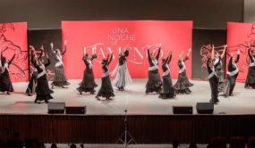 Espectáculo “Viva Flamenco” este domingo en Bellas Artes