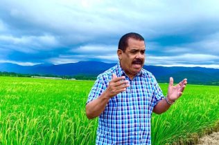 PLD culpa Ministerio Agricultura del aumento del precio del pollo