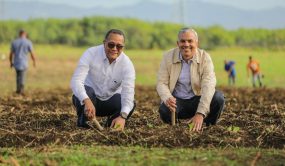 INTABACO y la Universidad ISA inician formación en cultivo de tabaco