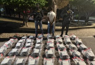 DNCD ocupa más de 200 libras marihuana y arresta 2 hombres