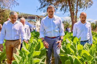 Exportaciones de tabaco de RD se incrementan más de 1,000 millones de pesos en 2025 informa INTABACO 