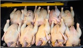 Inespre inicia venta más de un millón libras de pollo a 55 pesos