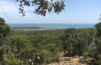 Procuraduría abre investigación penal sobre maniobras en áreas protegidas