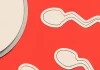 Por qué la infertilidad masculina sigue sin recibir la atención necesaria