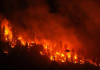 Donald Trump culpa a Canadá de los incendios forestales