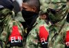COLOMBIA: Matan 10 miembros del ELN en operación militar